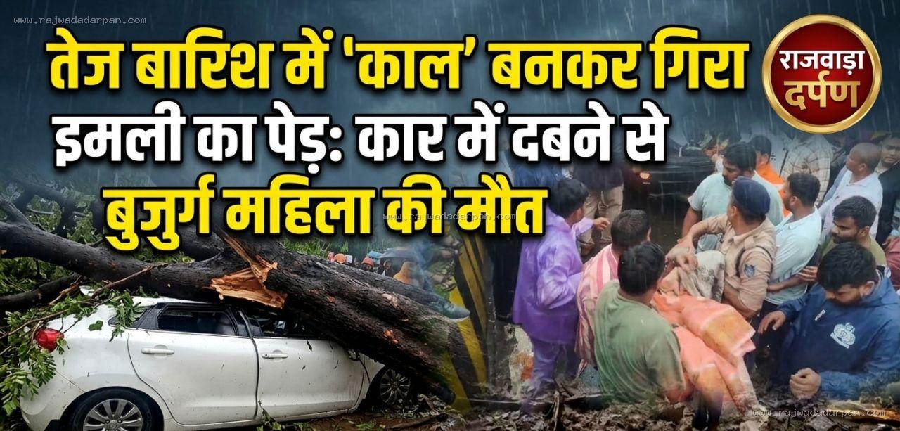 तेज बारिश में काल बनकर गिरा इमली का पेड़, कार में दबने से बुजुर्ग महिला की मौत

&nbsp;