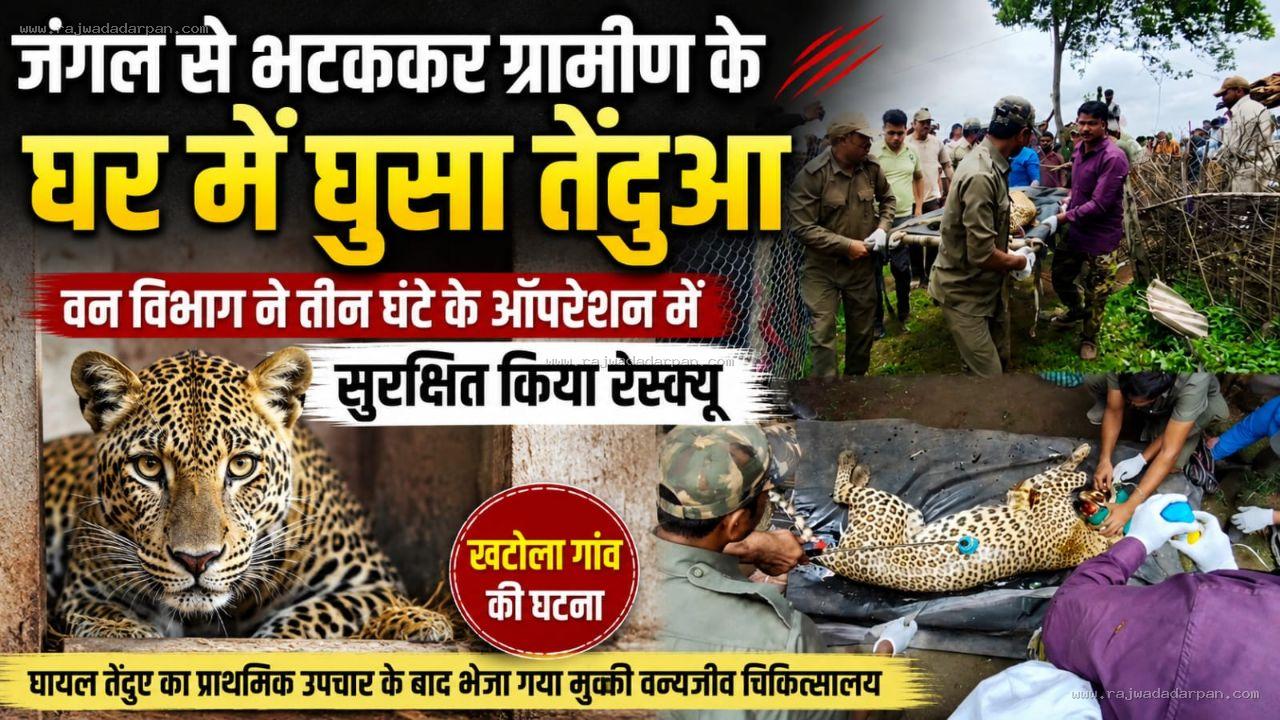 जंगल से भटककर ग्रामीण के घर में घुसा तेंदुआ, वन विभाग ने तीन घंटे के ऑपरेशन में सुरक्षित किया रेस्क्यू