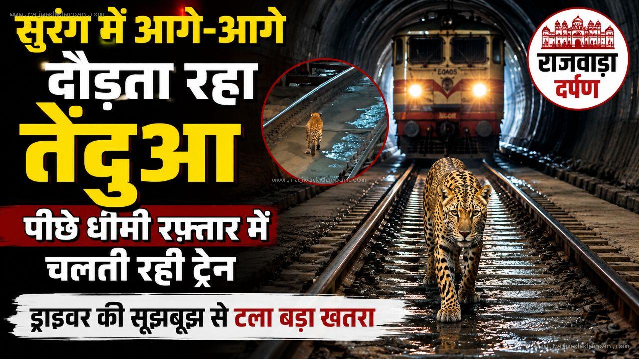 सुरंग में आगे-आगे दौड़ता रहा तेंदुआ, पीछे धीमी रफ्तार में चलती रही ट्रेन; ड्राइवर की सूझबूझ से टला बड़ा खतरा

&nbsp;