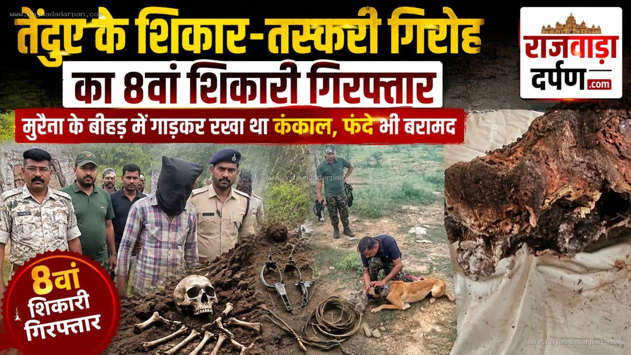 तेंदुए के शिकार-तस्करी गिरोह का 8वां शिकारी गिरफ्तार: मुरैना के बीहड़ में गाड़कर रखा था कंकाल, फंदे भी बरामद

&nbsp;