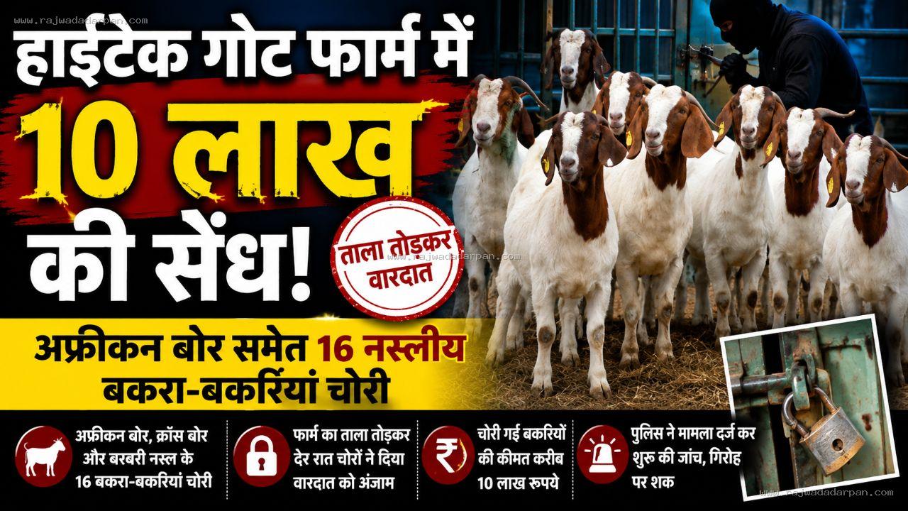 हाईटेक गोट फार्म में 10 लाख की सेंध: अफ्रीकन बोर समेत 16 नस्लीय बकरा-बकरियां चोरी

&nbsp;
