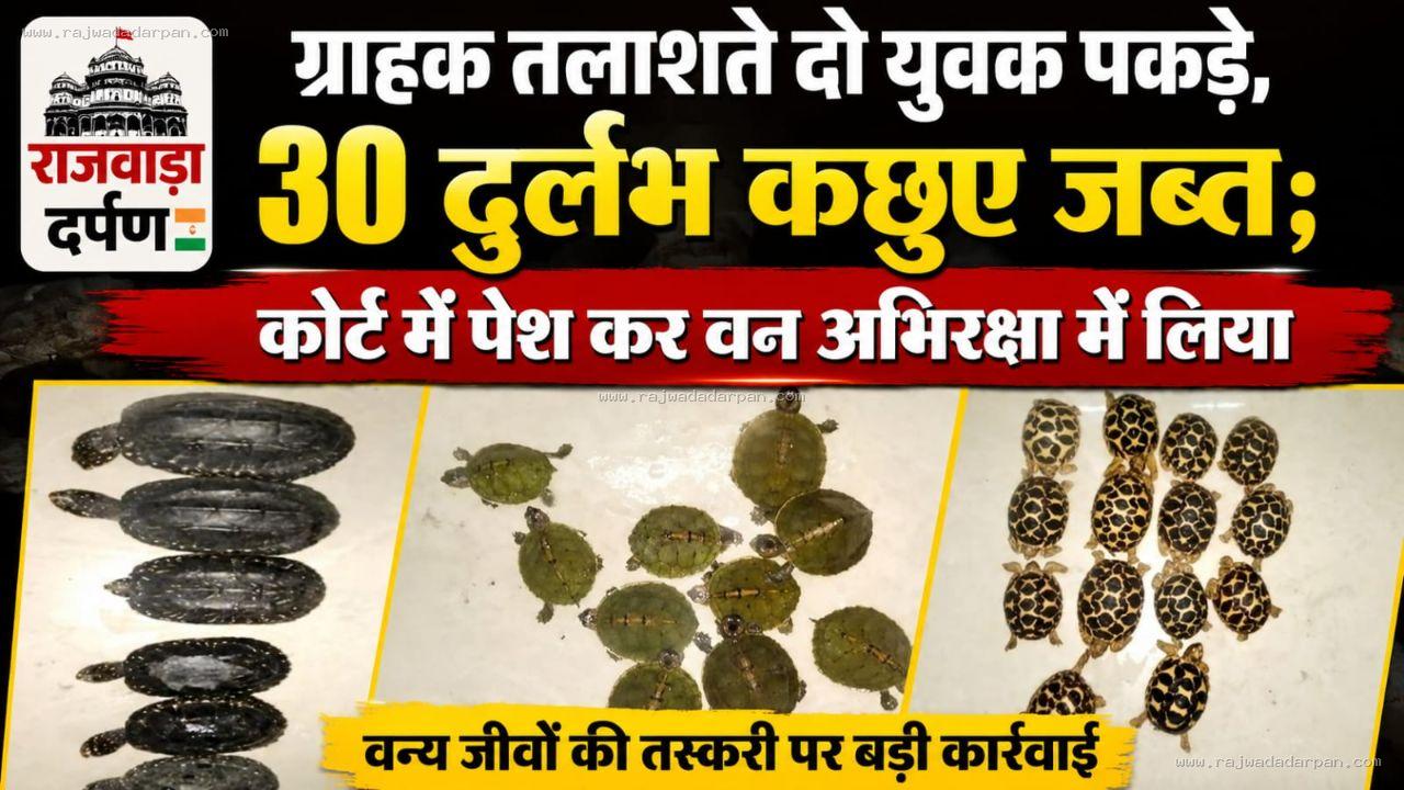 ग्राहक तलाशते दो युवक पकड़े, 30 दुर्लभ कछुए जब्त; कोर्ट में पेश कर वन अभिरक्षा में लिया