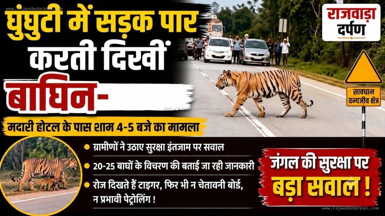 घुनघुटी में सड़क पार करती दिखीं बाघिन-शावक:&nbsp;