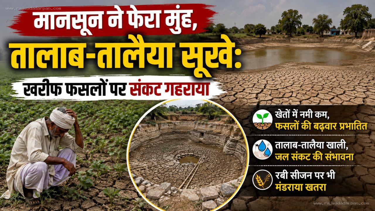 मानसून ने फेरा मुंह, तालाब-तालैया सूखे: धार में खरीफ फसलों पर संकट के बादल, सोयाबीन-मक्का की बढ़वार प्रभावित होने का खतरा