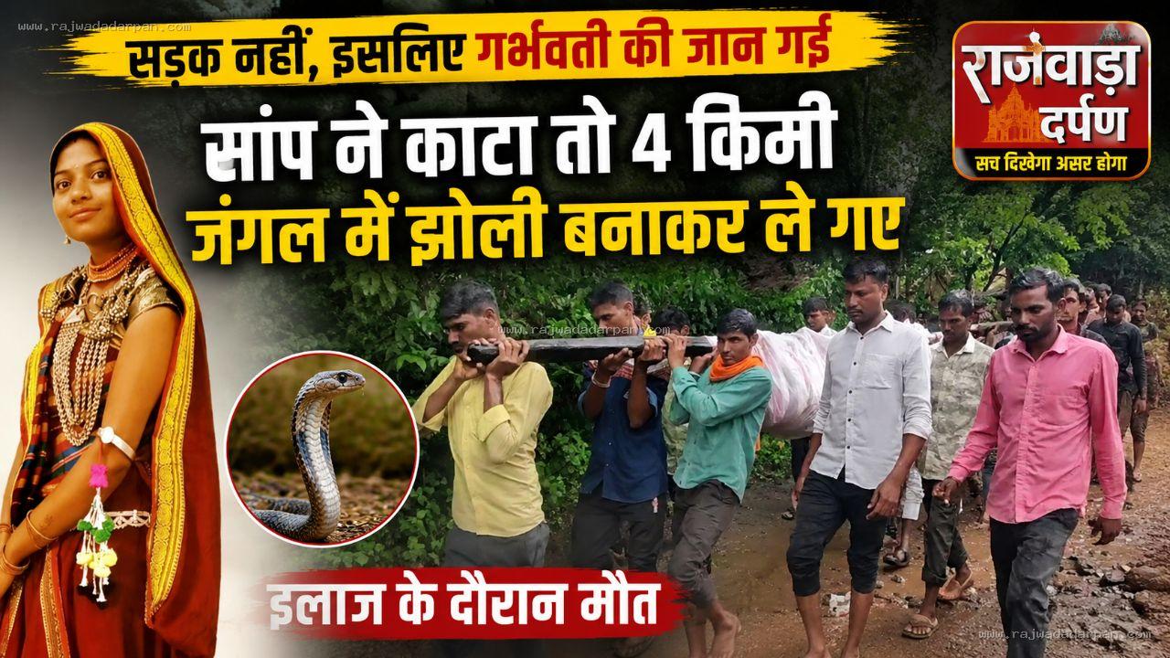 सड़क नहीं, इसलिए गर्भवती की जान गई: सांप ने काटा तो 4 किमी जंगल में झोली बनाकर ले गए; इलाज के दौरान मौत

&nbsp;