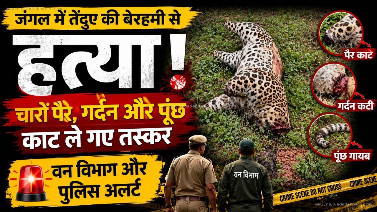 जंगल में तेंदुए की बेरहमी से हत्या! चारों पैर, गर्दन और पूंछ काट ले गए तस्कर, वन विभाग और पुलिस अलर्ट