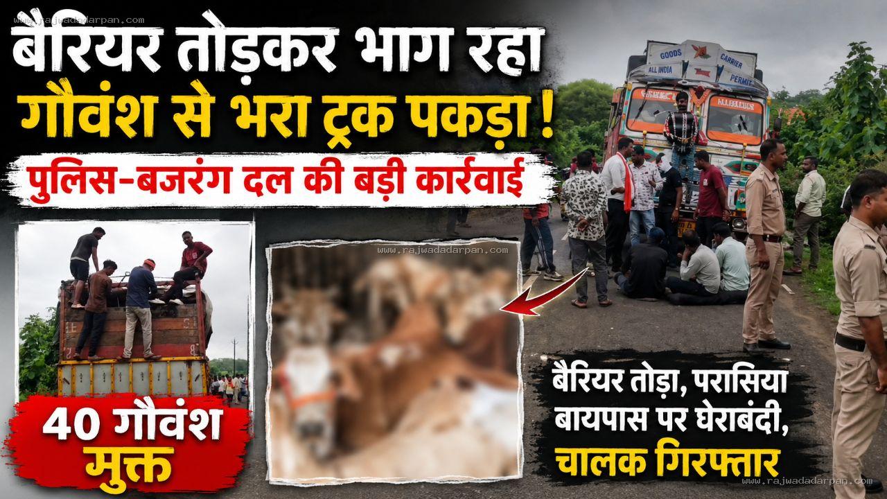 बैरियर तोड़कर भाग रहे मवेशियों से भरे ट्रक को परासिया में पकड़ा: पुलिस-बजरंग दल की संयुक्त कार्रवाई, 40 गौवंश मुक्त &nbsp;