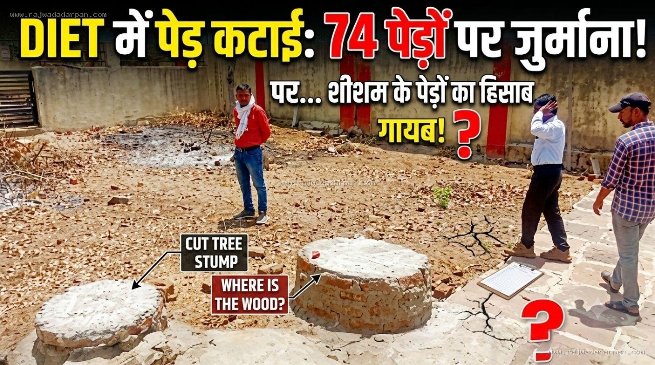 डाइट में पेड़ कटाई की जांच पर उठे सवाल: 74 पेड़ों पर जुर्माना, लेकिन शीशम के पेड़ों का नहीं मिला हिसाब&nbsp;