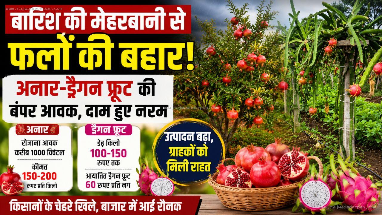 बारिश की मेहरबानी से फलों की बहार: अनार-ड्रैगन फ्रूट की बंपर आवक, दाम हुए नरम

&nbsp;