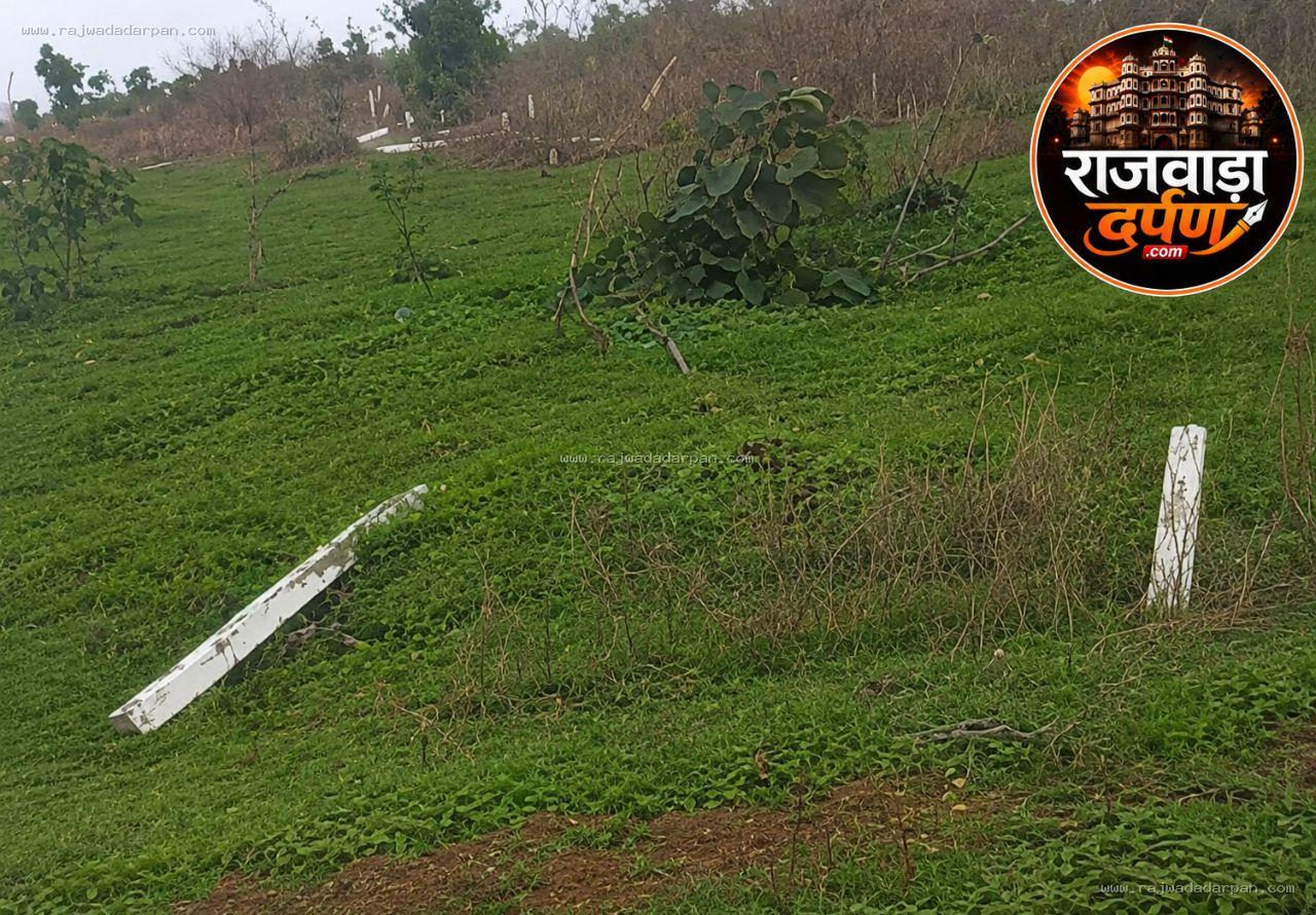 अतिक्रमण हटाया, निगरानी छोड़ी... जंगल पर फिर कब्जा; प्लांटेशन उजड़ा, सुरक्षा पोल भी उखाड़े

&nbsp;