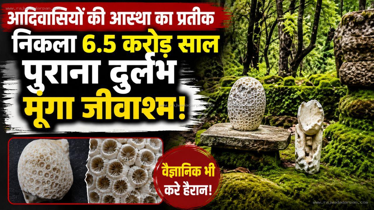 आदिवासियों की आस्था का प्रतीक निकला 6.5 करोड़ साल पुराना दुर्लभ मूंगा जीवाश्म!

&nbsp;